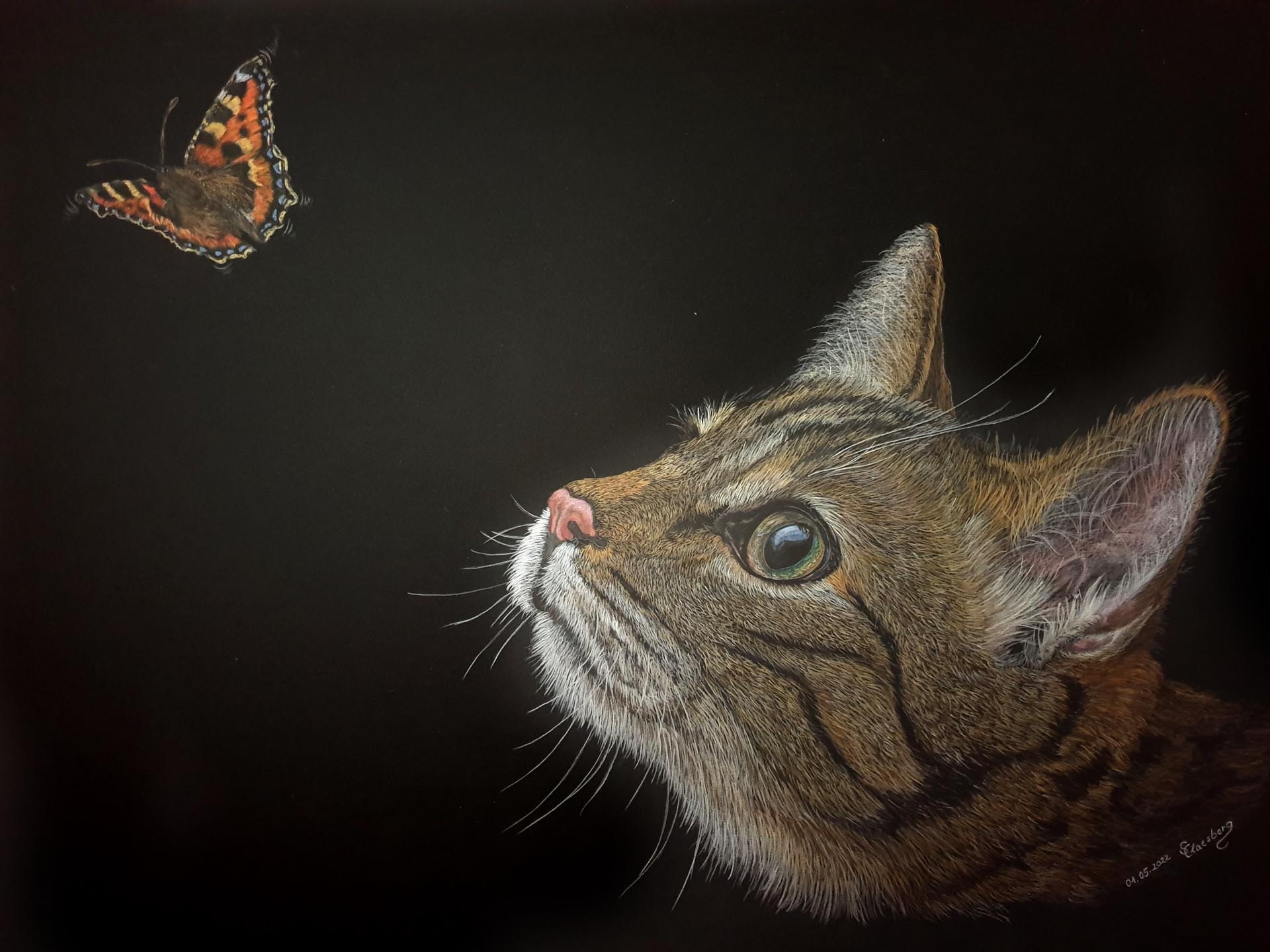 Katze beobachtet fliegenden Schmetterling