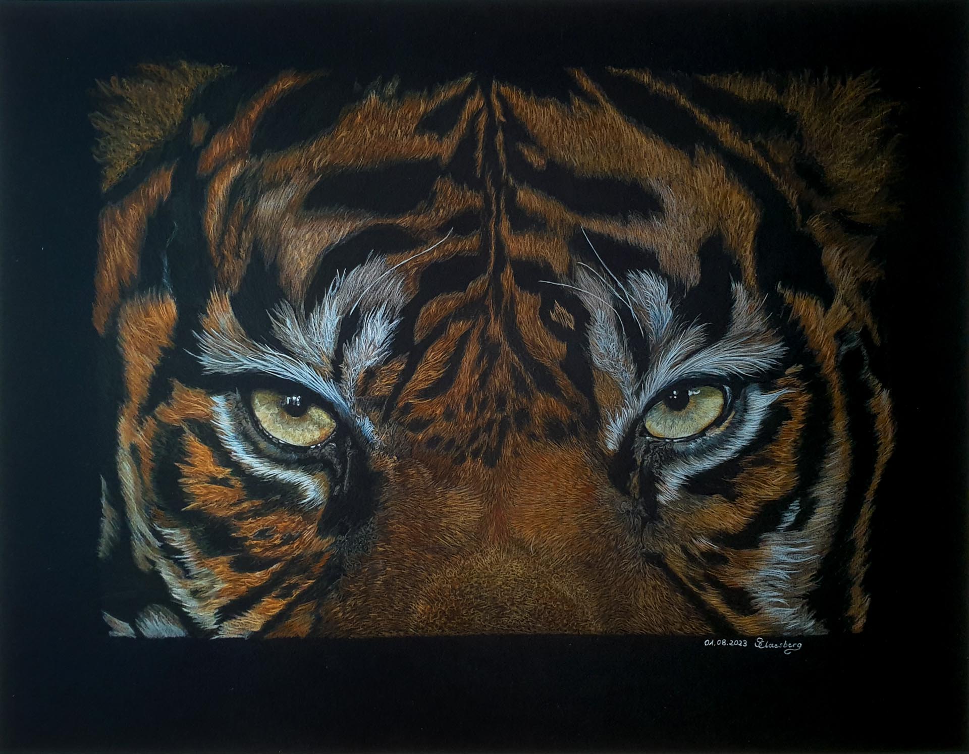 Gesichtsausschnitt Tiger