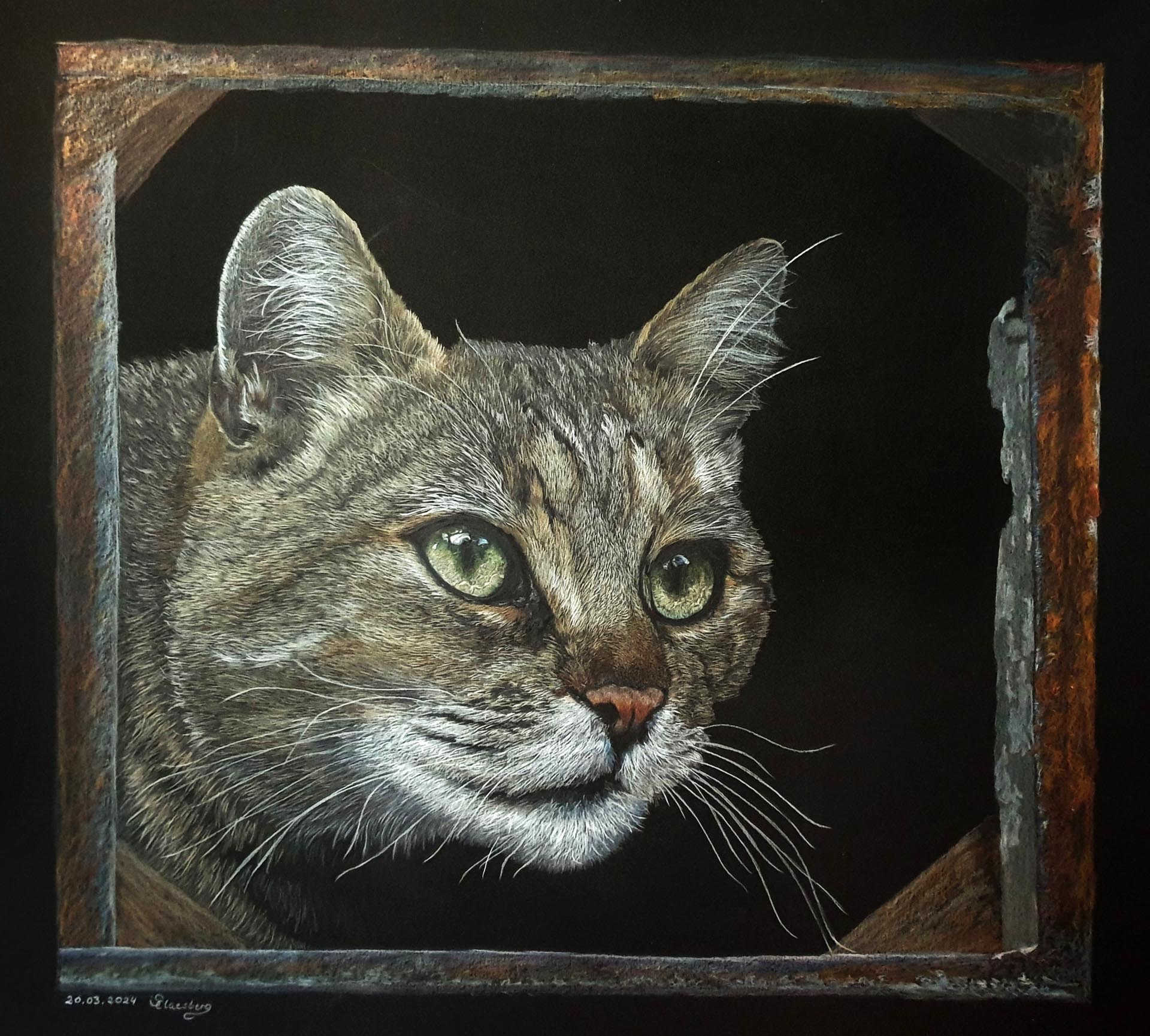 Hauskatze blickt durch Scheunenfenster