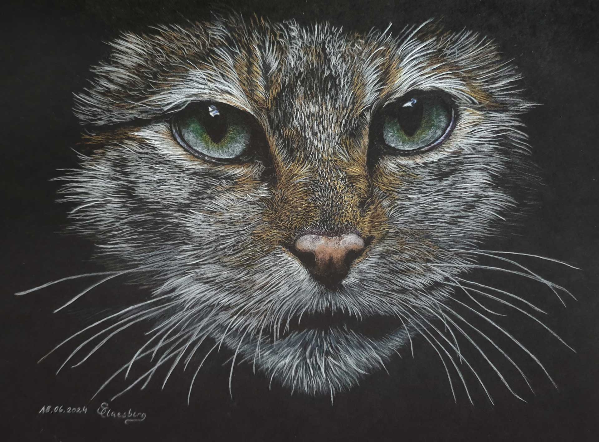 Wildkatzengesicht