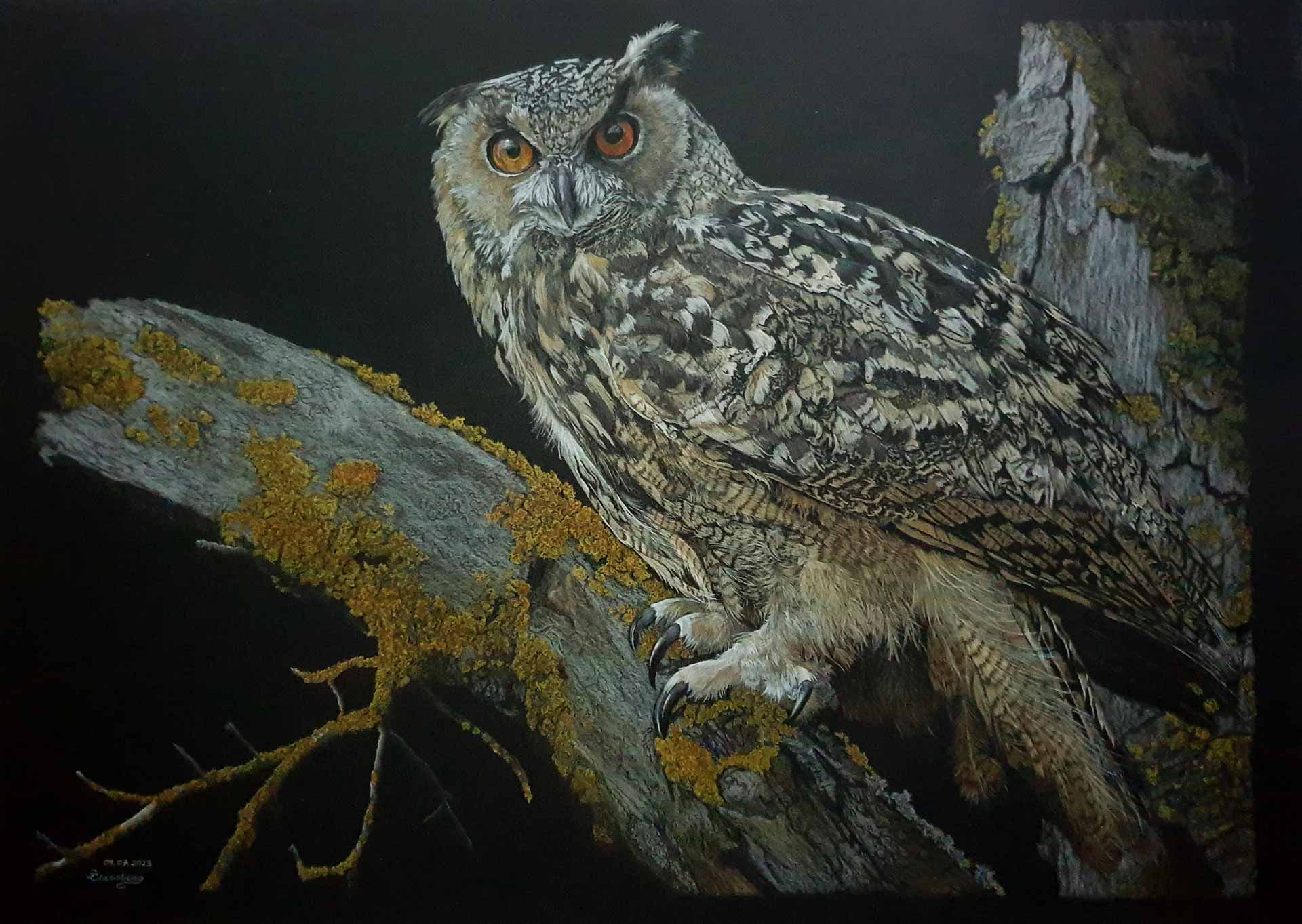Uhu - colored pencils Kunstwerk von Susanne Claesberg