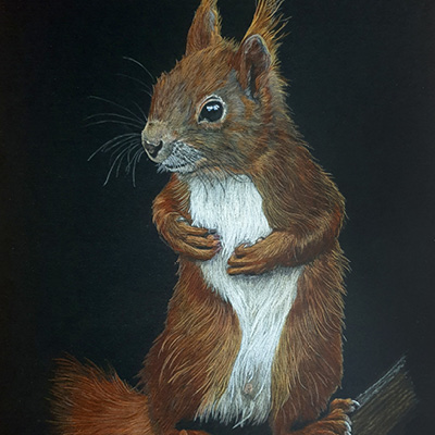 400x400 44